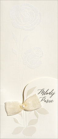 HM PREMIUM-175