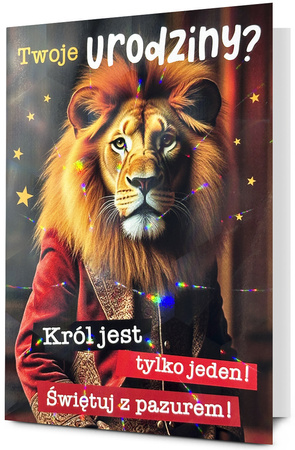 K. B6 HOLO-01