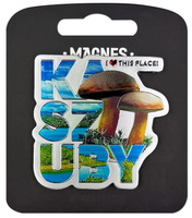 ILP-MAG-A-KASZ-44