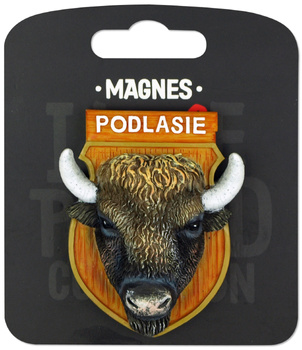 ILP-MAG-C-POD-25