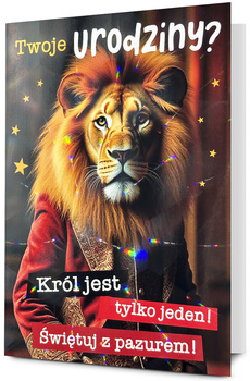 K. B6 HOLO-01